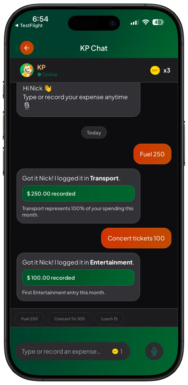KP chat expense input