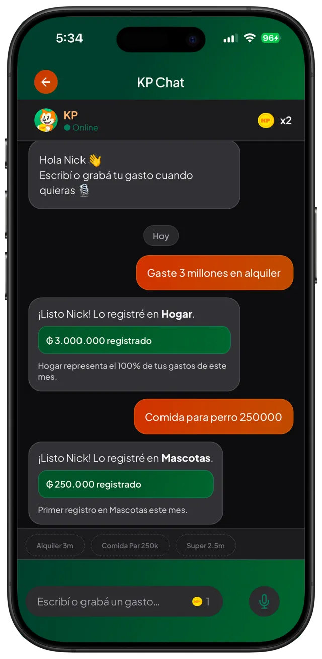 Chat de KP para registrar gastos