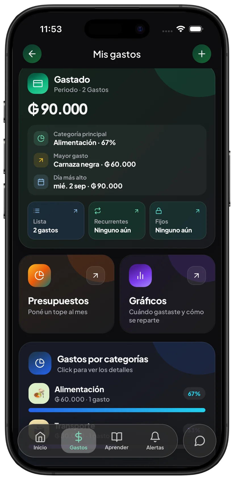 Resumen de gastos de KP con importes expresados en guaraníes